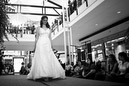 DSC_1577.NEF