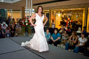 DSC_1584.NEF